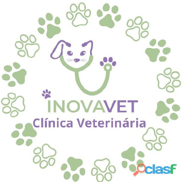 Clínica Veterinária Inovavet