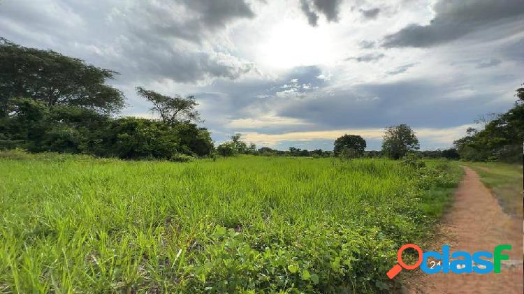 Fazenda 1000 hectares em Mato-Grosso, com aptidão à