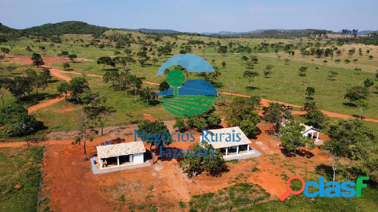 Fazenda 813 Hectares/ 168 Alqueires