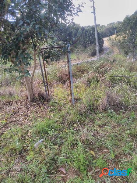 LOTE RURAL DISPONÍVEL PARA VENDA EM ABDON BATISTA - SC