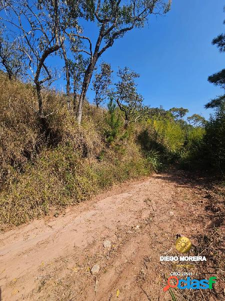 Terrenos à venda em Terra Preta