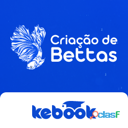 Criação de Bettas: Domine o Ramo e Tenha Uma Renda Extra