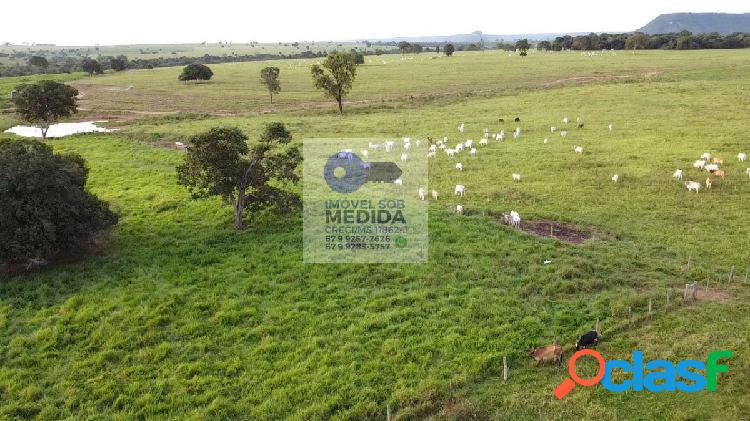 Fazenda 408 ha Bandeirantes