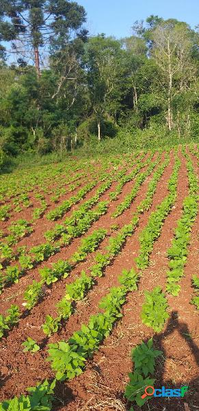 Sitio a venda no distrito de São Salvador