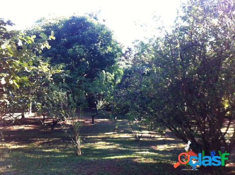 Terreno espaçoso em Louveira