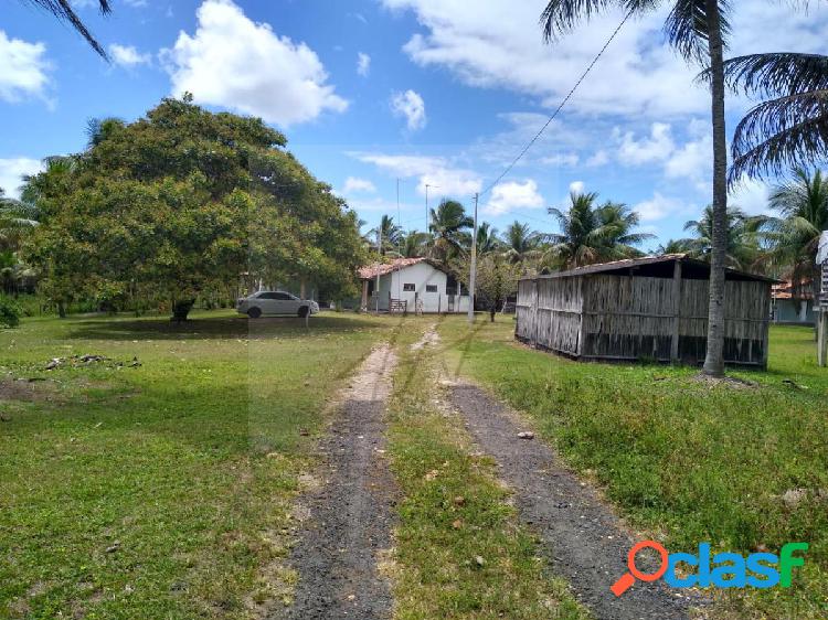 Vendo Fazenda produtiva 250mil m², Conde / BA