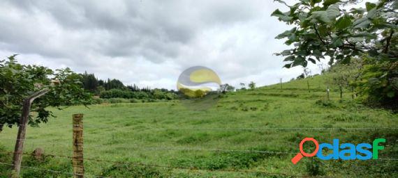 Área com 30.000 m² ótimo investimento p incorporação