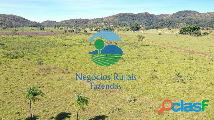 Fazenda 784 Hectares/ 162 Alqueires.