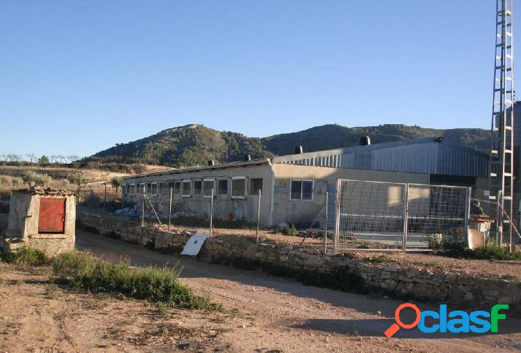 Nave Industrial en Venta en La Romana, Alicante - 1.545 m²