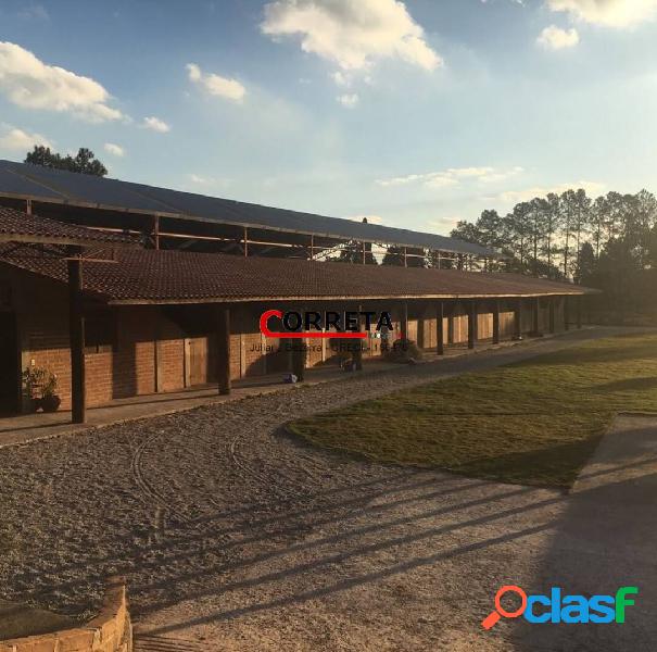 HARAS FORMADO COM PADRÃO OLÍMPICO EM IBIÚNA - SP