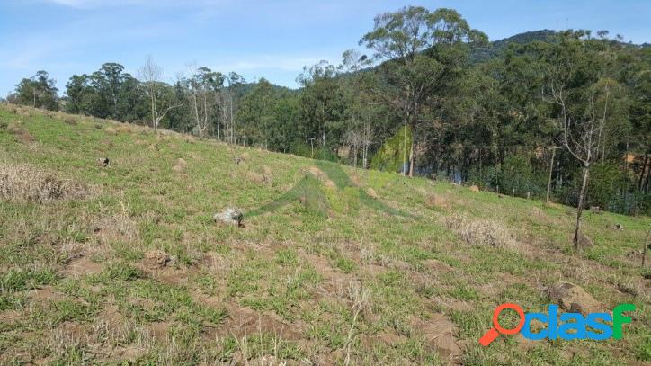 Área no asfalto com 8 alqueires em Piracaia