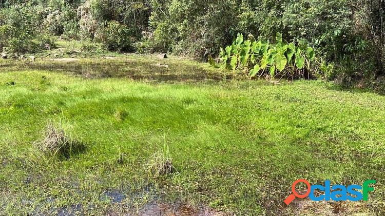 Terreno, 20000m², à venda em Gramado, Carazal