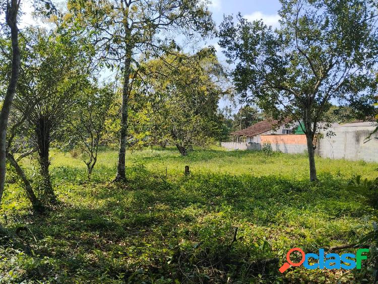 Chacrinha em Balneário Barra do Sul - Excelente Opção