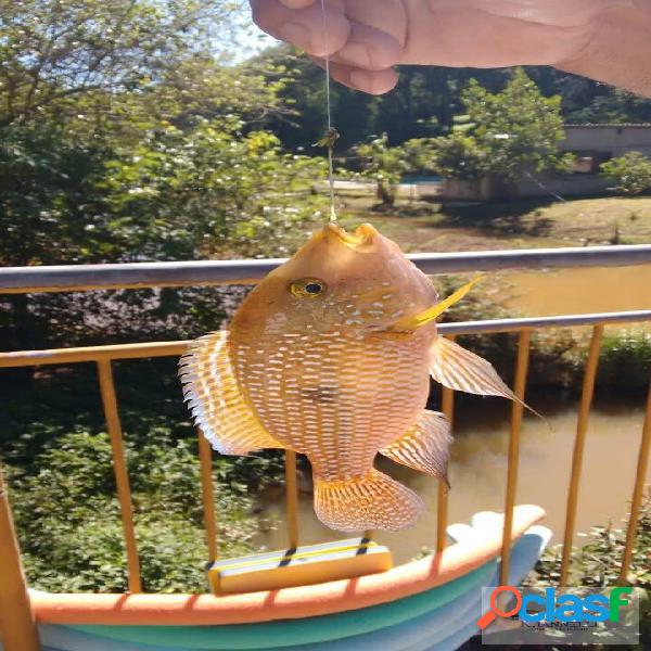 Chácara em Mairinque SP Venda ou Troca.