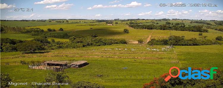 Fazenda a Venda SONORA MS