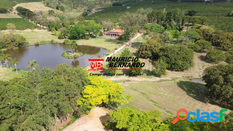 Fazenda de Café em Amparo